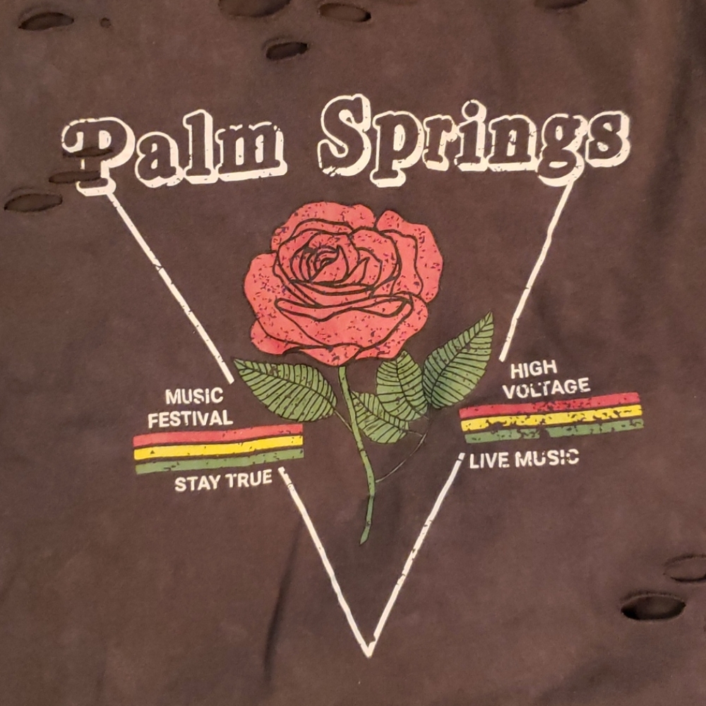 Cropped Palm Springs Music Festival Distressed Tee - Picture 4 of 7